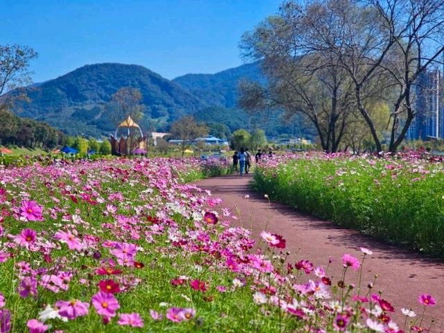 Jeolla Park