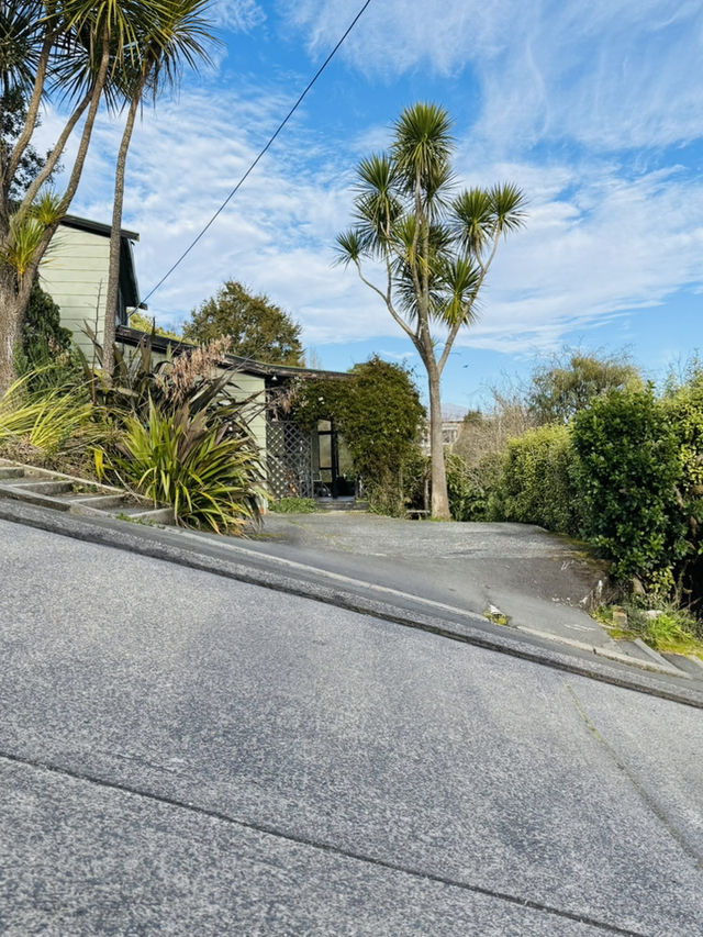 紐西蘭 南島 但尼丁Baldwin Street