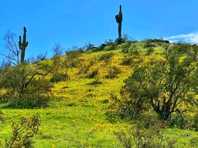 🏜️ Estrella Mountain Regional Park – Arizona’s Desert Escape