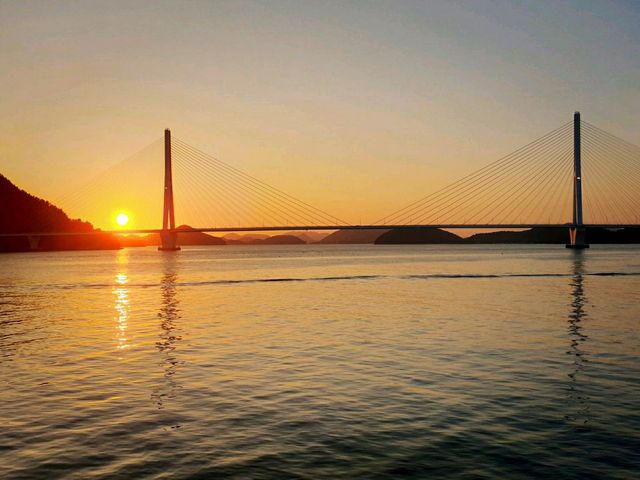 바다 위 흔들다리 🌊금오도 비렁길
