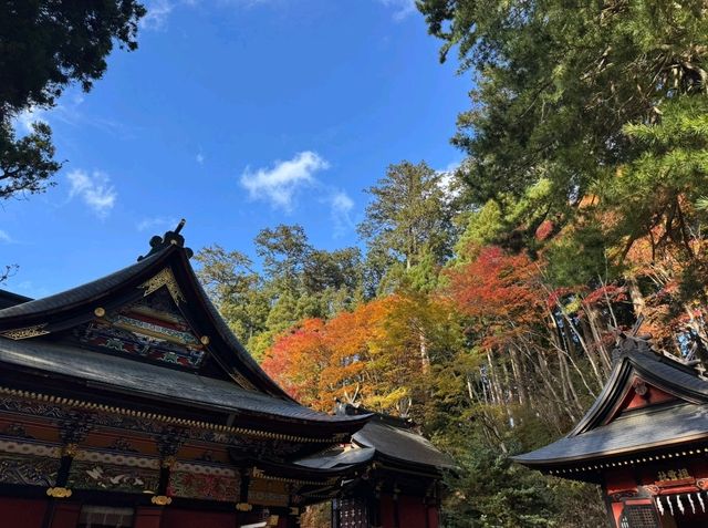 あの花の聖地🌼秩父で紅葉満喫