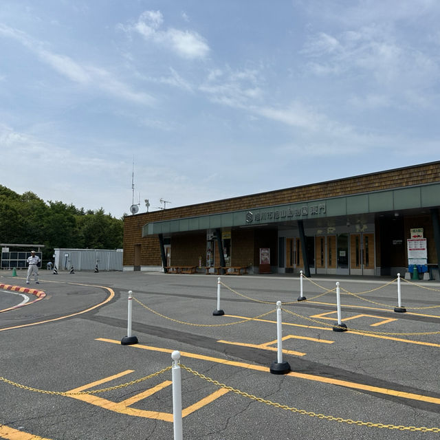 北海道旭川市旭山動物園