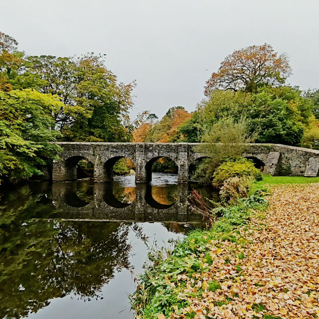 Your Solo Riverside Stroll: Six Mile Water, Antrim Your Solo Riverside Stroll: Six Mile Water, Antrim