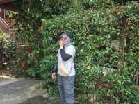 ล่องแก่นนายพล