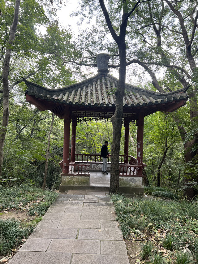 🇨🇳 History in the Clouds: Exploring Nanjing’s Purple Mountain (Zijin Shan) 🇨🇳 History in the Clouds: Exploring Nanjing’s Purple Mountain (Zijin Shan)