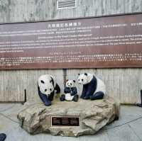 Panda Paradise in Chengdu 🐼