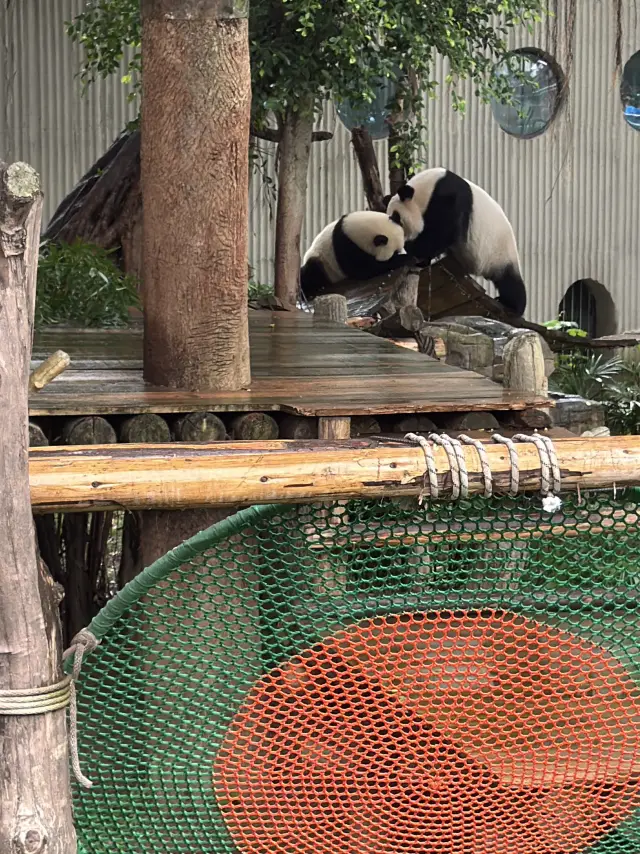 山城層層光影——重慶兩日走好走滿記 D2