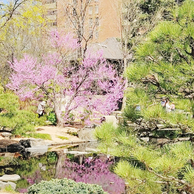 The Soloist's Mile-High Zen: Shofu-en Revisited