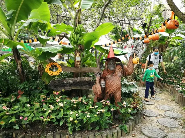 香港城市綠洲賞花之旅🌸香港動植物公園