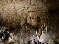 沖繩必去地方-長瀨島、美國村、海洋館、玉泉洞、（食）阿古豬