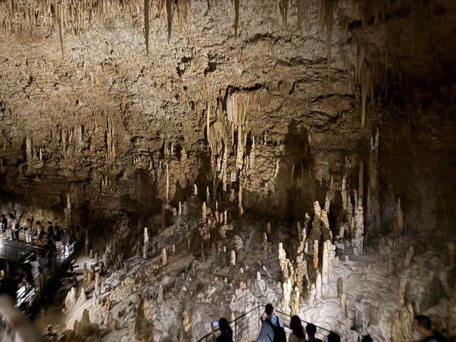沖繩必去地方-長瀨島、美國村、海洋館、玉泉洞、（食）阿古豬