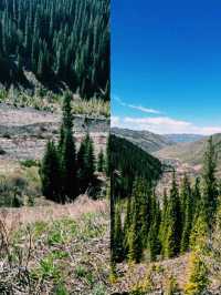 숲이 숨겨둔 신비로운 물결을 만난 하루