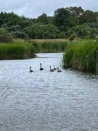 Ayrlies Garden and Wetlands