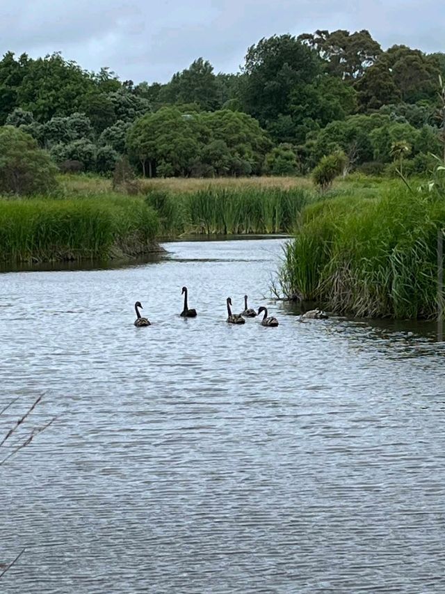 Ayrlies Garden and Wetlands Ayrlies Garden and Wetlands