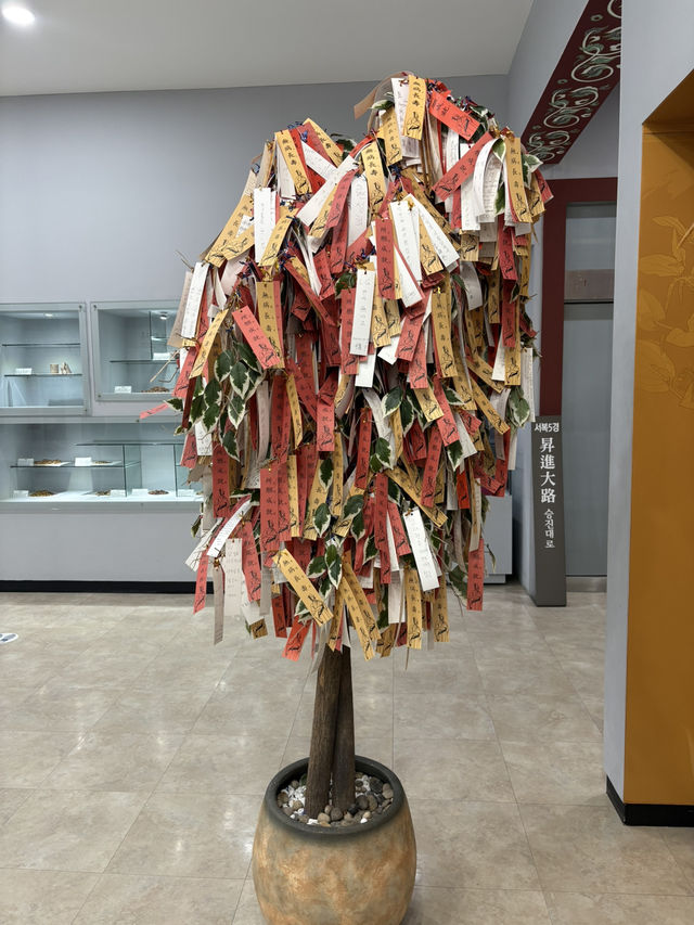 濟州🍊 西歸浦 徐福公園 尋找長生不老藥的故事🆓免門票景點 濟州🍊 西歸浦 徐福公園 尋找長生不老藥的故事🆓免門票景點