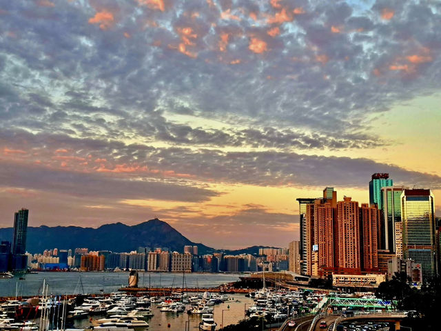 The Amber Echo of Causeway Bay Golden Scales