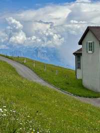 자연하면.. 스위스 그리고 뉴질랜드