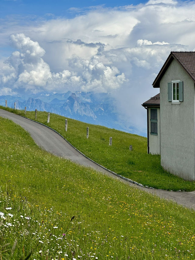 자연하면.. 스위스 그리고 뉴질랜드 자연하면.. 스위스 그리고 뉴질랜드