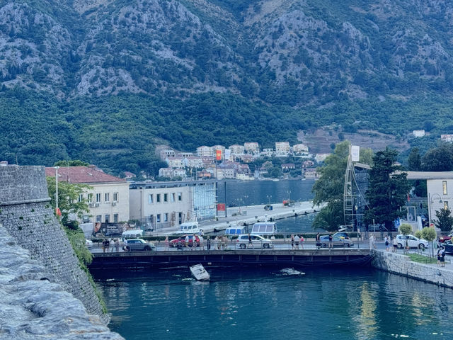 🌊🏰 OLD TOWN KOTOR — MONTENEGRO’S HISTORIC GEM 🇲🇪✨ 🌊🏰 OLD TOWN KOTOR — MONTENEGRO’S HISTORIC GEM 🇲🇪✨