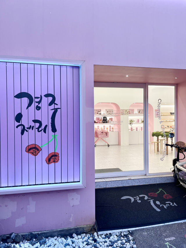 경주 이색적인 소품샵 추천 경주 이색적인 소품샵 추천