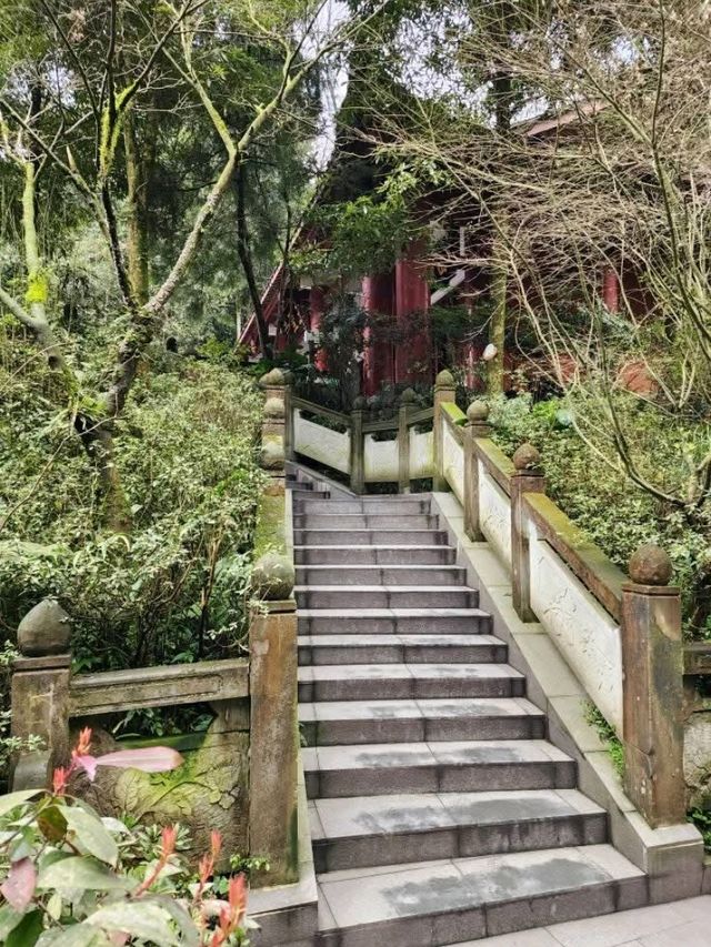 Panda Vibes & Chill Scenes at Chengdu’s Top Park 🐼☕️ Panda Vibes & Chill Scenes at Chengdu’s Top Park 🐼☕️