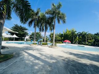 세부에서의 특별한 순간