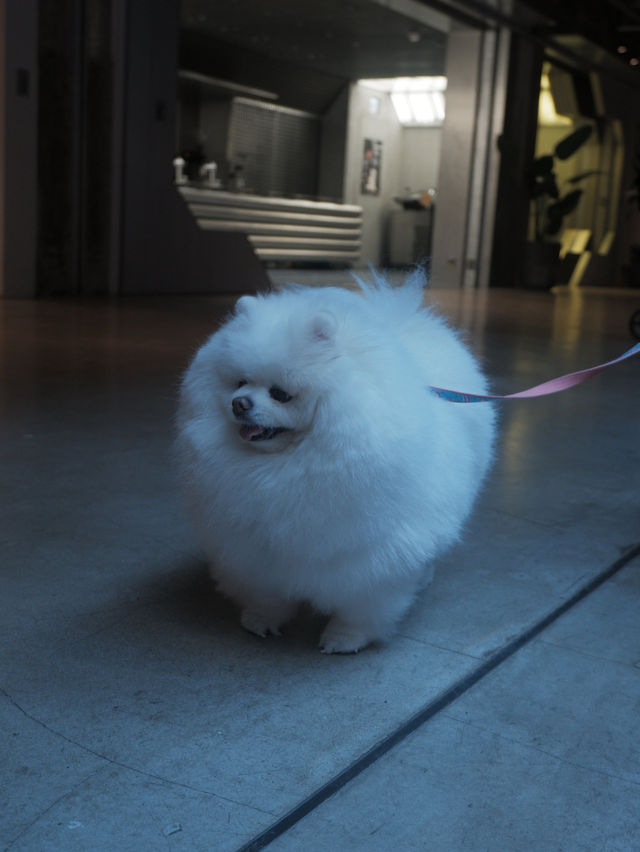 南豐紗廠沉浸式美學展覽🎨 南豐紗廠沉浸式美學展覽🎨