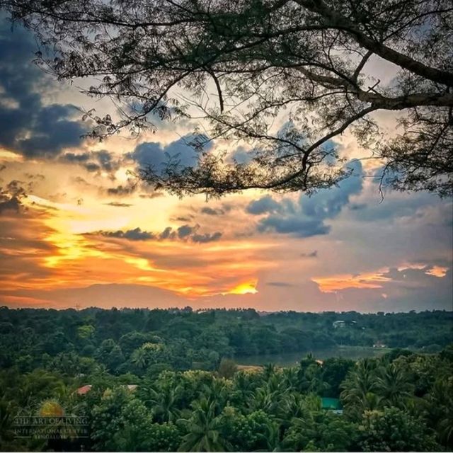 art of living banglore