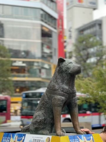 Hachiko, the loyal dog of Shibuya | That dog waited ten years