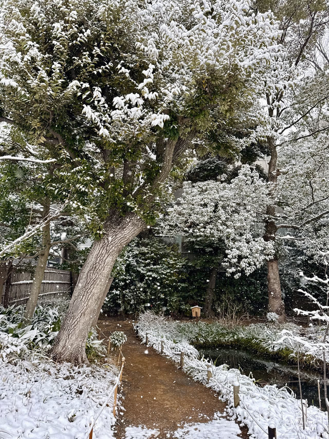 ❄️ A Silent Snowy Morning in Edo’s Garden ❄️ A Silent Snowy Morning in Edo’s Garden