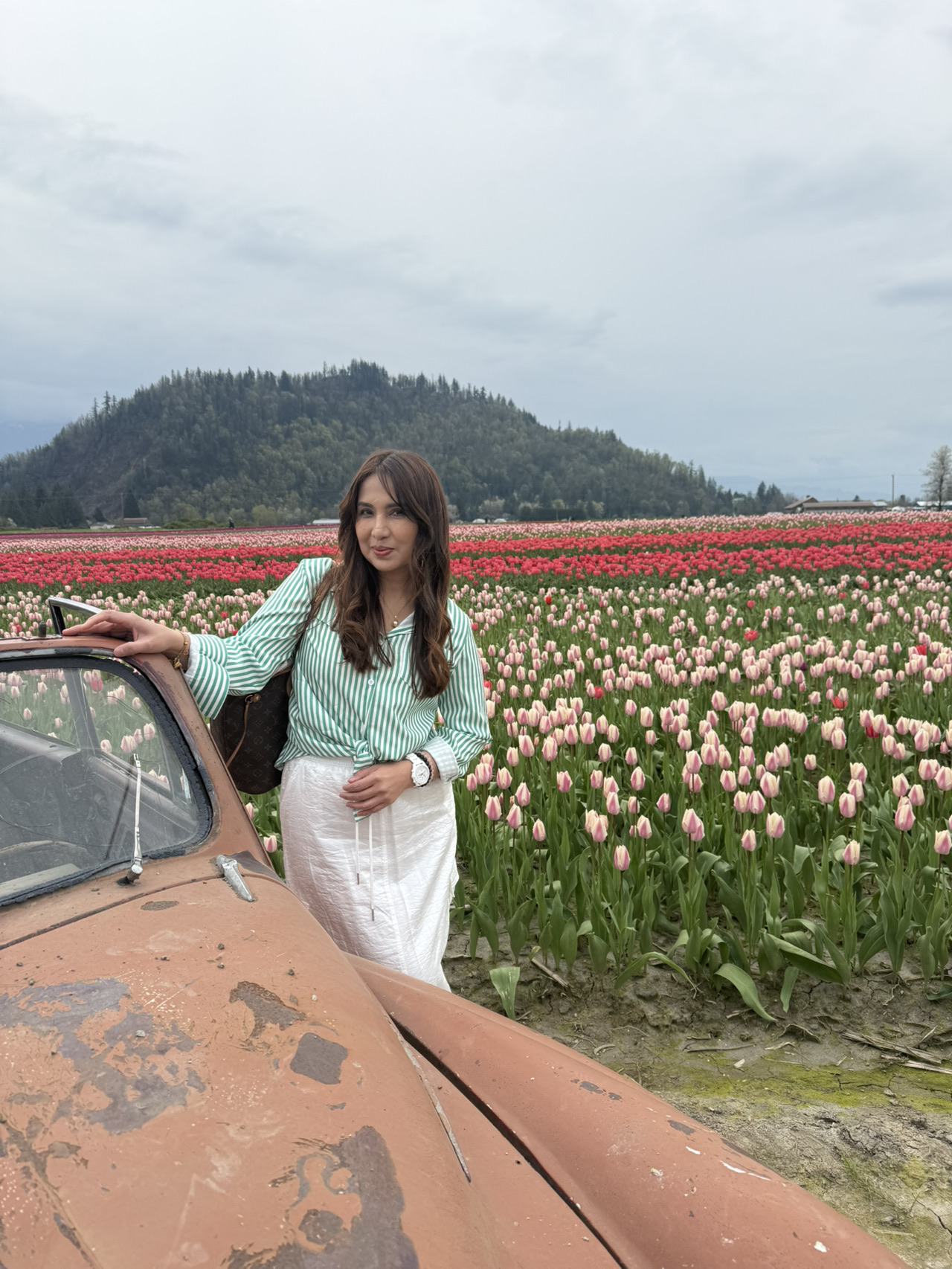 Agassiz - Harrison Tulip Spring Fields - 圖 2