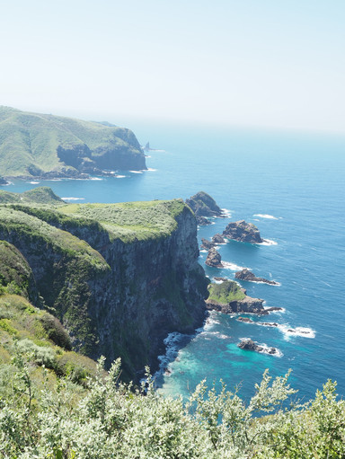 馬✖️崖✖️海の絶景 摩天崖 | Trip.com 西ノ島町