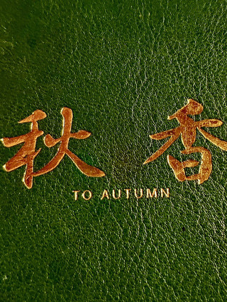 原來黃金海岸附近都有高質日式料理小店!今次去屯門,發現咗一間性價比好高嘅日式小店「秋香」,無論係煲仔飯、沙律定串燒味道都唔錯。仲有自家手工啤酒,坐得舒服啲,朋友聚會都啱。

餐廳名:秋香  
地址:屯門青善街38號康景花園地下26-27號舖  
招牌菜:
白鳝煲仔飯:焦底香脆,白鳝鮮嫩入味,食落有啖啖幸福感。
栗米沙律:用新鮮栗米混合蔬菜,自家醬汁清爽開胃,做頭盤最啱!
秘制牛肋條煲仔飯:牛肋條醃得好入味,煲仔飯煲得香脆,牛肉軟腍又唔膩。
串燒:燒雞翼、牛肉、豬肉串全部都燒到外焦內嫩,配少少啤酒一流。
手工啤酒:有自家釀造選擇,味道天然清新,食飯同時飲啤酒別有一番風味。
環境:小店裝修溫馨,燈光柔和,啱晒家庭同朋友聚會。室內有一點香港舊式居酒屋feel,坐得舒服。
營業時間:11:30 – 22:00  
價錢:人均大約$150-$220,煲仔飯分量足夠,有時仲會有小食優惠。

真實用後感:
今次食完秋香嘅煲仔飯同串燒,感覺層次好豐富,煲仔飯底部有陣香,配埋新鮮食材,真係食到停唔落。牛肋條煲仔飯出色,瘦肉同肥肉分佈啱啱好,栗米沙律清新唔膩。自家啤酒有點小驚喜,非常適合下班後同朋友吹水。

行程小貼士:
建議平日6pm前到,晚餐時段好容易坐滿,最好提前Call位。煲仔飯現點現做,需要耐心等,值得一試。區內人流多,但餐廳環境唔會太逼,感受寧靜可以慢慢食。

#屯門美食 #煲仔飯 #秋香 #香港日式小店 #黃金海岸美食