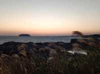 สัมผัสธรรมชาติรอบตัวและชมนกนานาพันธุ์@Saeseom Island,Jeju Isliand