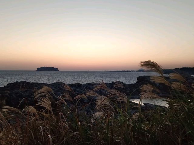 สัมผัสธรรมชาติรอบตัวและชมนกนานาพันธุ์@Saeseom Island,Jeju Isliand สัมผัสธรรมชาติรอบตัวและชมนกนานาพันธุ์@Saeseom Island,Jeju Isliand