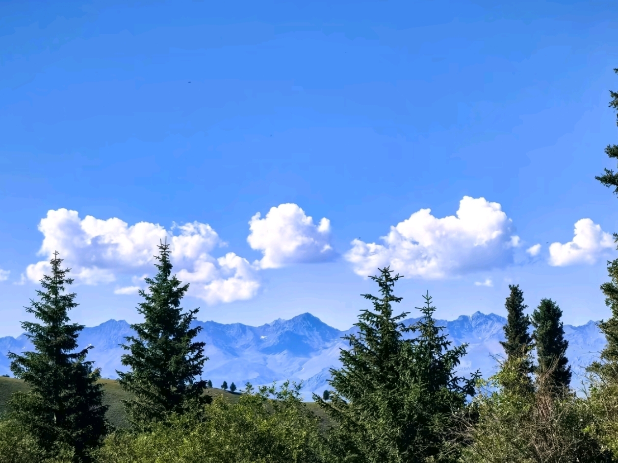 Itinerary check nalati Grassland -My honest itinerary advice