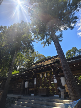「伊太祁曾神社」鑽樹洞消災解厄