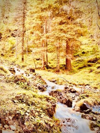 Italy Friuli Laghi di Fusine Mossy Julian Alps Shoreeasytravelpost #LaghidiFusine #Friuli #JulianAl