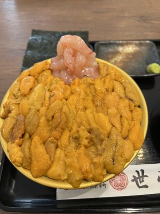 Hakodate Must-Try: Overflowing Uni Bowls at the Famous Yoichiya