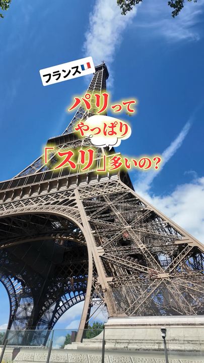 【注意⚠️】パリのスリ問題、調査してきた