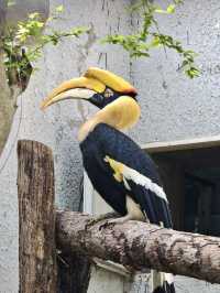 與自然的溫柔邂逅——北京動物園漫遊記