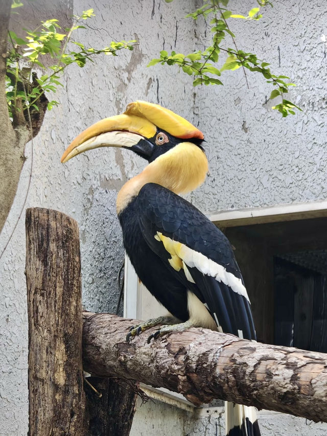 與自然的溫柔邂逅——北京動物園漫遊記