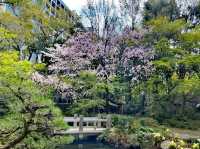 樂水園