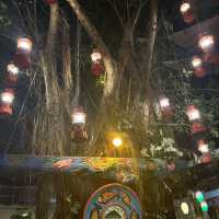 Puerto Princesa 4 Days Itinerary