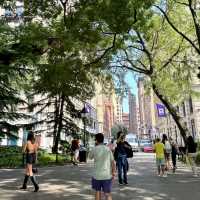 🇺🇸紐約日記07華盛頓廣場公園ft. NYU