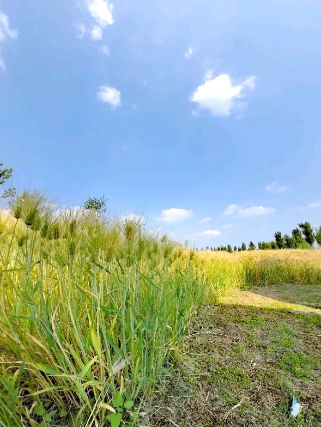 蘭芝漢江公園
