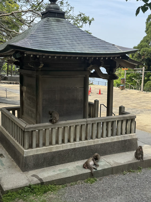 14-Day Kyushu island 