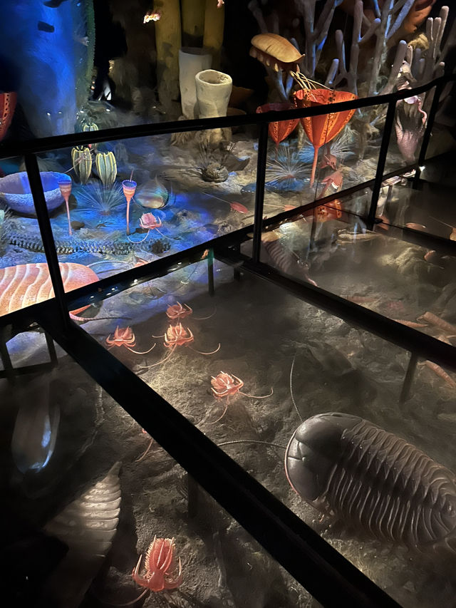 🦕恐竜の聖地！カナダ🇨🇦【ロイヤル・ティレル博物館】