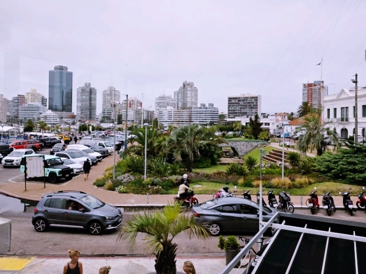 Punta del Este Marina — Home to the Famous Sea Lions Feeding Show