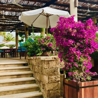 Edde Sands Resort, Lebanon – Where Luxury Meets the Mediterranean